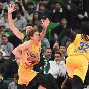 EUROLEAGUE PAO-MACCABI