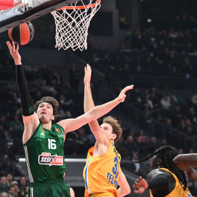 EUROLEAGUE PAO-MACCABI